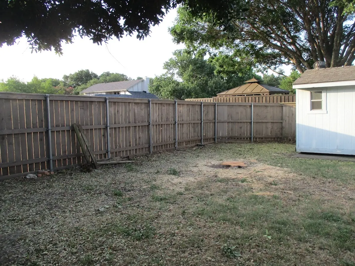 Cleared yard after professional tree removal in Rosedale